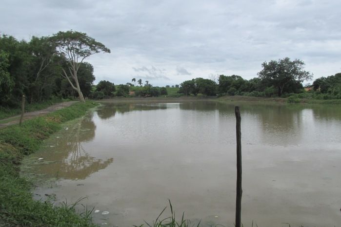 Lagoa da Baixa em Agricolândia Faça-nos uma visita na Semana Santa - Imagem 10