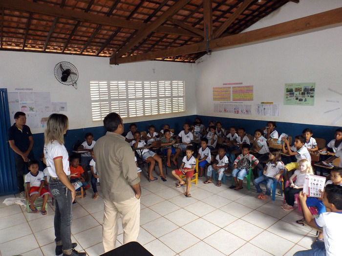 Combate ao Aedes aegypti continua em Oeiras - Imagem 2