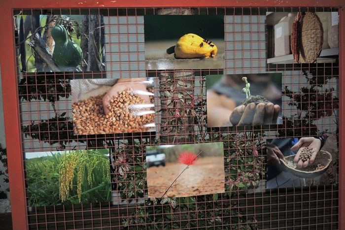 Sarau Literário reúne alunos de escolas municipais - Imagem 5