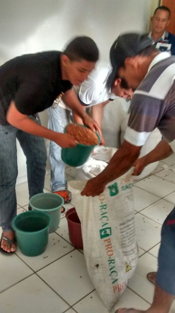 Prefeitura de BH começou a distribuição de 11 toneladas de feijão - Imagem 2