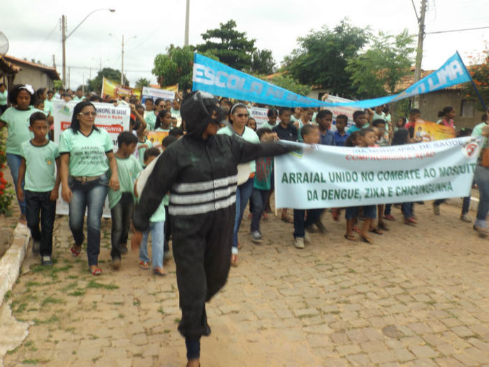  Mutirão de enfrentamento ao mosquito AEDES EGYPIT. - Imagem 7