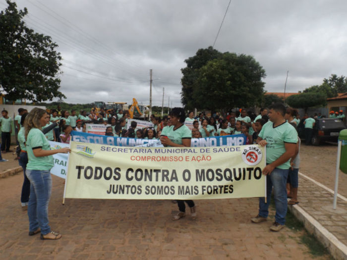  Mutirão de enfrentamento ao mosquito AEDES EGYPIT. - Imagem 1