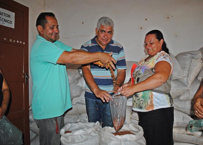 município começa a distribuir o feijão as famílias de baixa renda  - Imagem 5