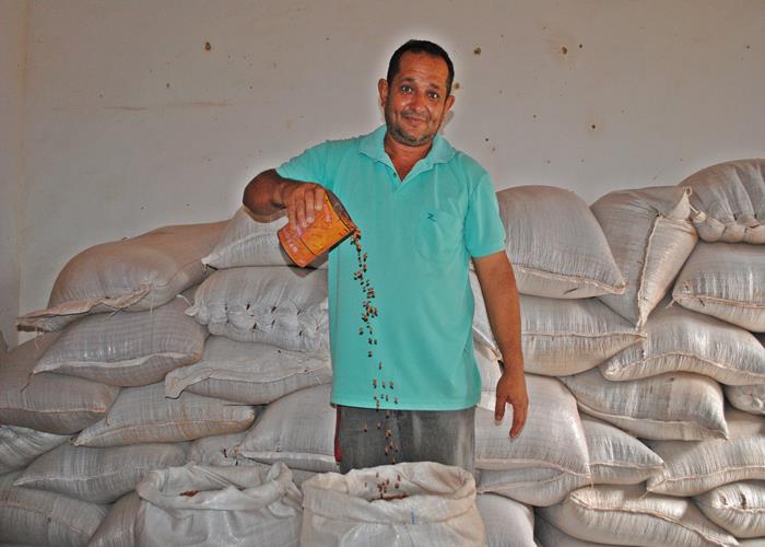 município começa a distribuir o feijão as famílias de baixa renda  - Imagem 1