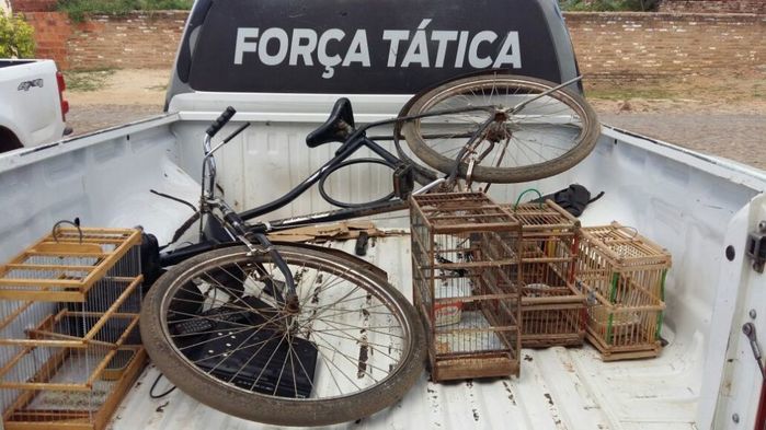 Em uma Ação Rápida a Força Tática Apreende Menor e Recupera Objetos - Imagem 5