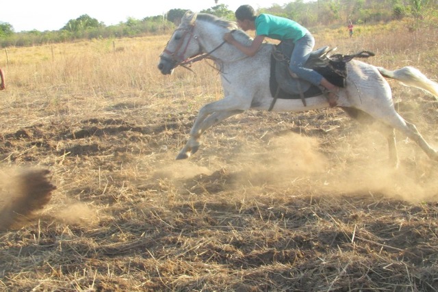Vem ai! a tradicional Corrida de Cavalos de Pitombeira - Imagem 1