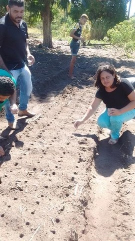 Prefeitura e EMBRAPA Desenvolvem Projeto Para Produção de Alho - Imagem 8