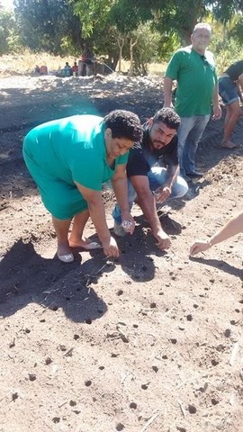 Prefeitura e EMBRAPA Desenvolvem Projeto Para Produção de Alho - Imagem 9