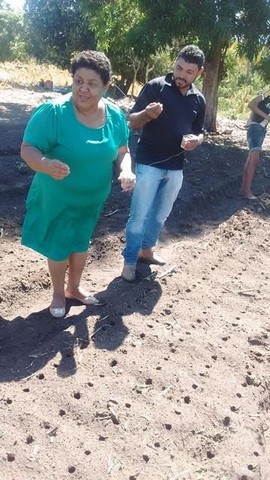 Prefeitura e EMBRAPA Desenvolvem Projeto Para Produção de Alho - Imagem 7