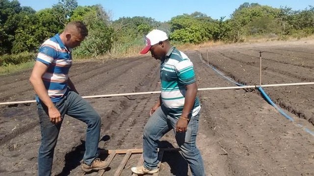 Prefeitura e EMBRAPA Desenvolvem Projeto Para Produção de Alho - Imagem 6