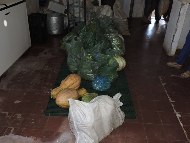 Pref. de União prioriza Agricultura Familiar na merenda escolar - Imagem 4