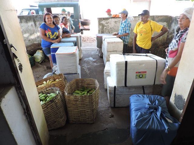 Pref. de União prioriza Agricultura Familiar na merenda escolar - Imagem 1