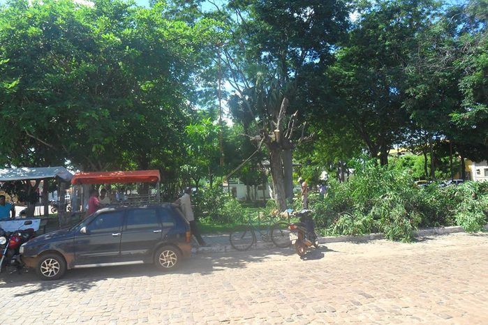 Árvores com risco de queda são retiradas da Praça Monsenhor Boson - Imagem 2