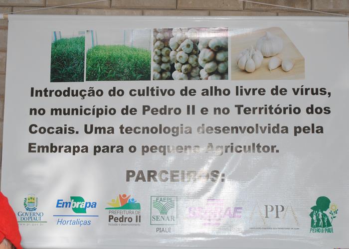 13ª edição do Festival de Inverno poderá ficar na história  - Imagem 6