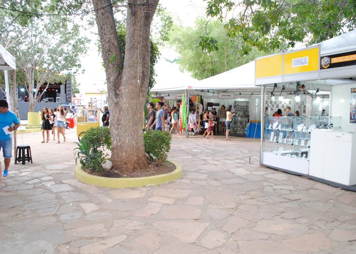 13ª edição do Festival de Inverno poderá ficar na história  - Imagem 231