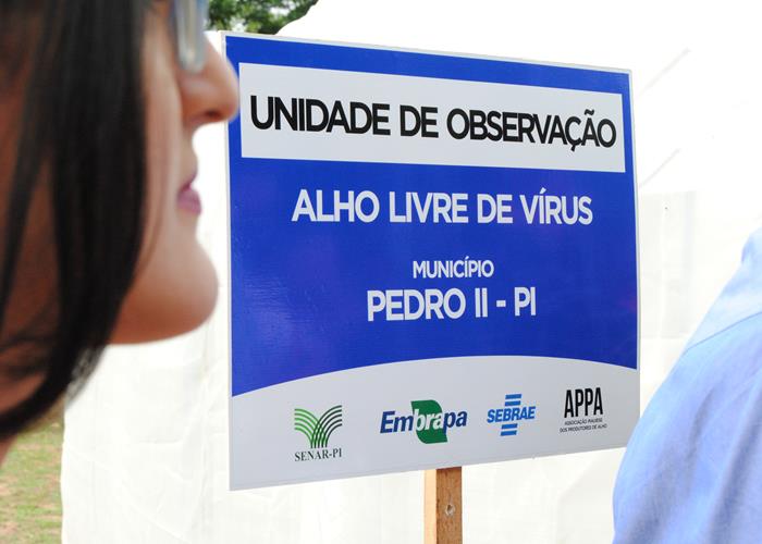 13ª edição do Festival de Inverno poderá ficar na história  - Imagem 43