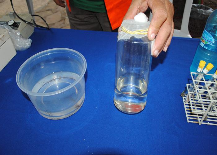 13ª edição do Festival de Inverno poderá ficar na história  - Imagem 237