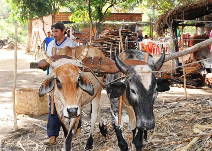 Praça lota e público interage com Gal Costa, na sexta de festival - Imagem 22
