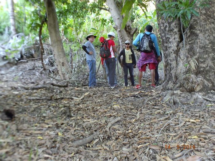 Vem ai... O Morro Assombrado. - Imagem 63