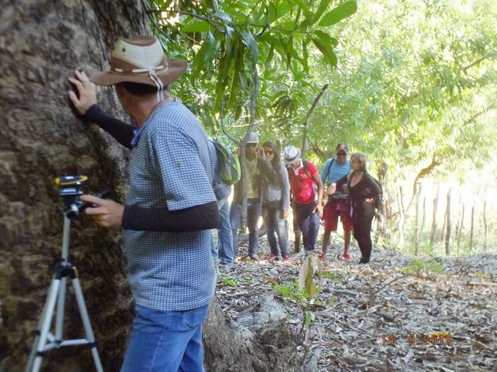 Vem ai... O Morro Assombrado. - Imagem 37