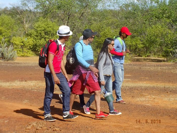 Vem ai... O Morro Assombrado. - Imagem 42