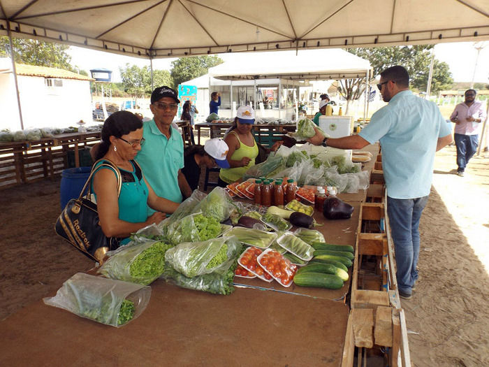 Mais um sucesso consolida de vez a EXPOEIRAS - Imagem 26