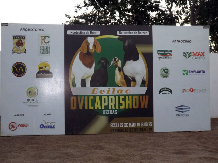 Mais um sucesso consolida de vez a EXPOEIRAS - Imagem 34