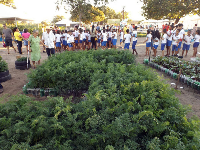 Mais um sucesso consolida de vez a EXPOEIRAS - Imagem 31