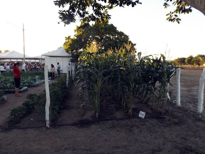 Mais um sucesso consolida de vez a EXPOEIRAS - Imagem 32