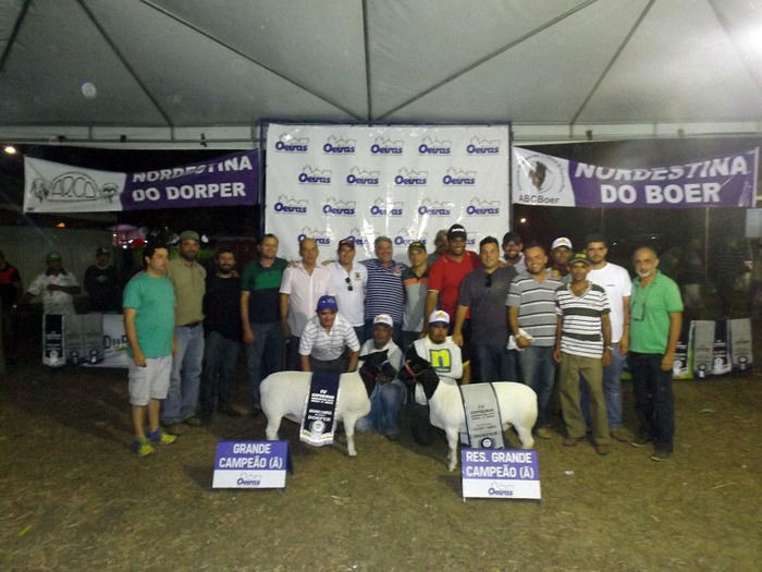 Mais um sucesso consolida de vez a EXPOEIRAS - Imagem 53