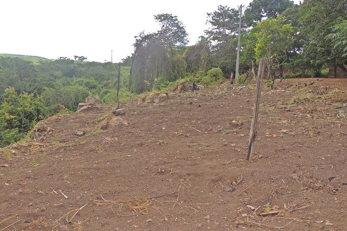 Transforme a crise em um ótimo investimento - Imagem 22