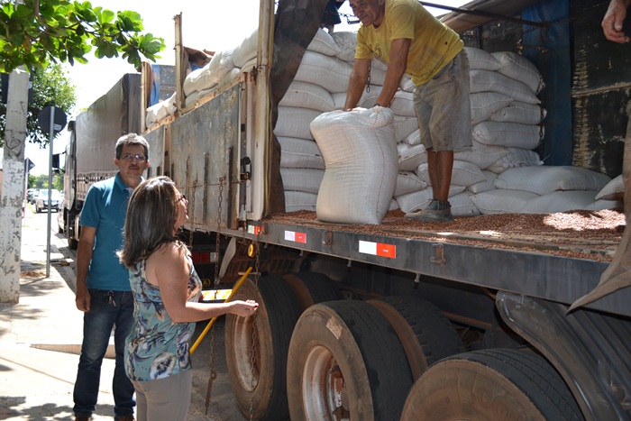 Toneladas de feijão serão distribuídas em Pedro II - Imagem 4
