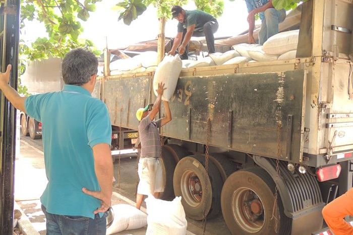 Toneladas de feijão serão distribuídas em Pedro II - Imagem 1