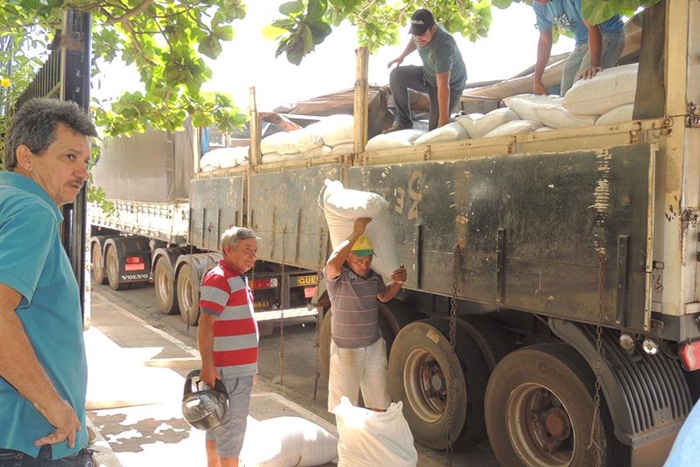 Toneladas de feijão serão distribuídas em Pedro II - Imagem 2