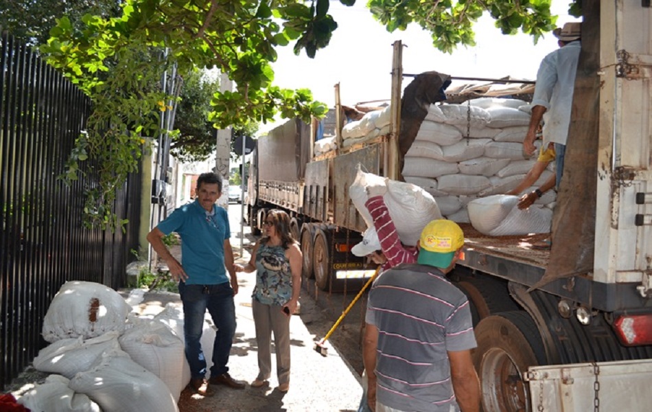 Toneladas de feijão serão distribuídas em Pedro II