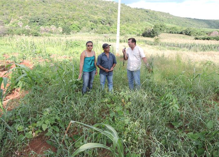 Perdas agrícolas ultrapassam os 70% em Pedro II  - Imagem 3