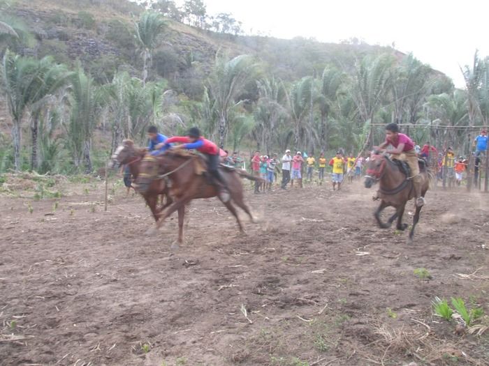 Ministério Público Suspende as Corridas de Cavalos de Pitombeira   - Imagem 1