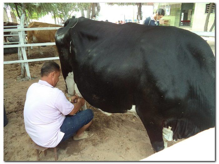Comunidade inhumense comemora o aniversário da Cidade - Imagem 13
