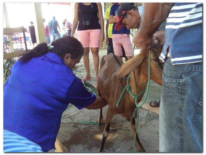 Comunidade inhumense comemora o aniversário da Cidade - Imagem 17