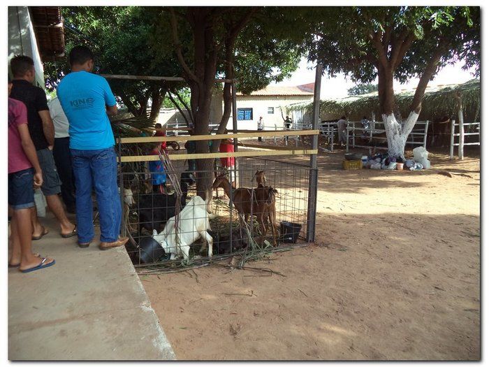 Comunidade inhumense comemora o aniversário da Cidade - Imagem 22