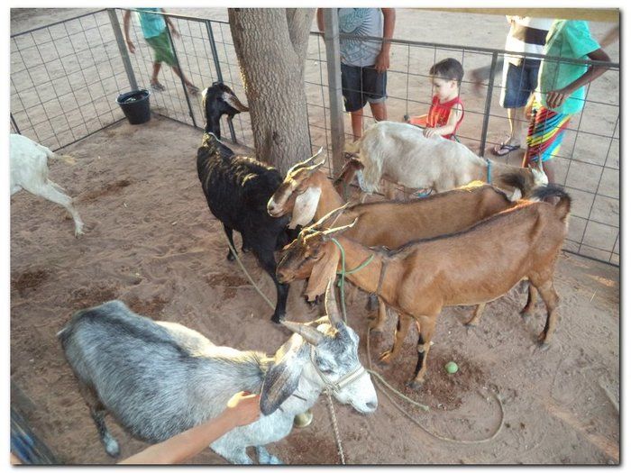 Comunidade inhumense comemora o aniversário da Cidade - Imagem 6