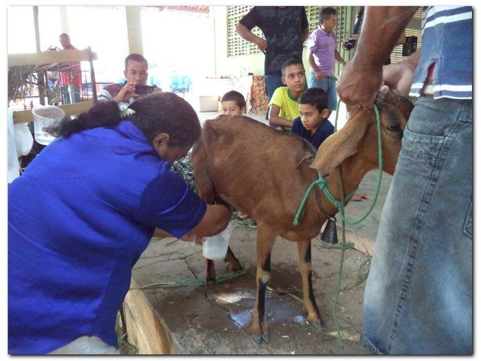 Comunidade inhumense comemora o aniversário da Cidade - Imagem 18