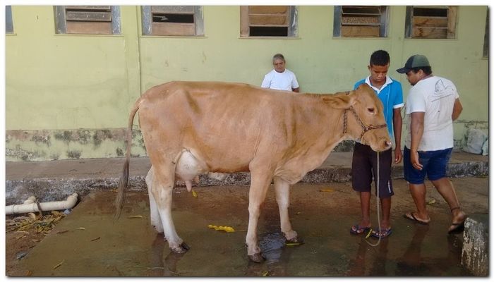 População de Inhuma festeja 62º aniversário da cidade - Imagem 16