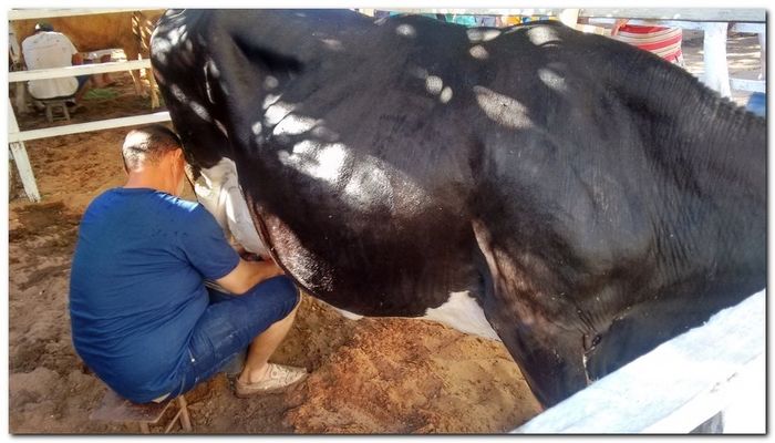 População de Inhuma festeja 62º aniversário da cidade - Imagem 22