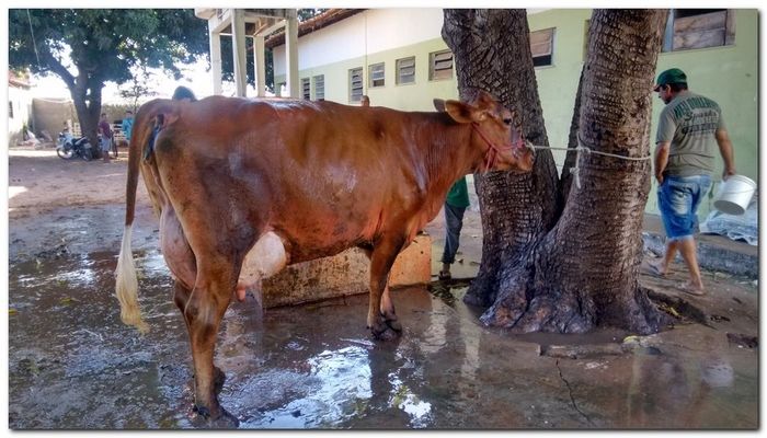 População de Inhuma festeja 62º aniversário da cidade - Imagem 13