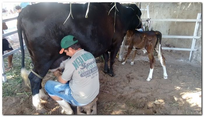 População de Inhuma festeja 62º aniversário da cidade - Imagem 29