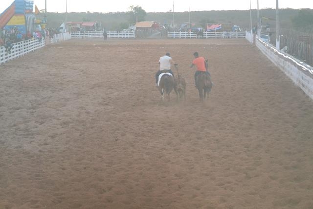 Vaquejada de Pimenteiras foi um sucesso. Confira as fotos    - Imagem 84