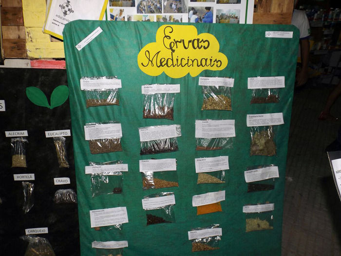 Projeto Educanvisa promove saúde nas escolas de Oeiras - Imagem 14