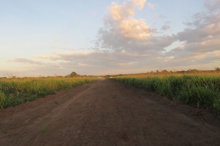 11 de Junho será a Tradicional Corrida de Cavalos em Pitombeira  - Imagem 3
