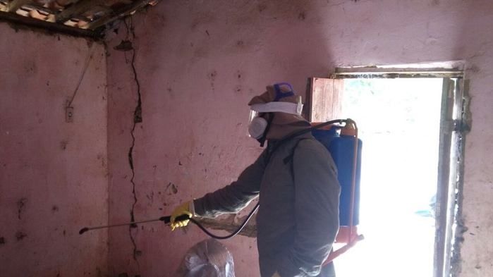 SMS de Lagoinha Realiza Bloqueio de Vetores de Calazar na Cidade - Imagem 2